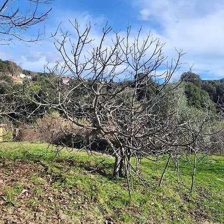 U Caseddu Ξενοδοχείο Santa-Maria-Siche